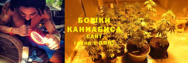 ПСИЛОЦИБИНОВЫЕ ГРИБЫ Баксан